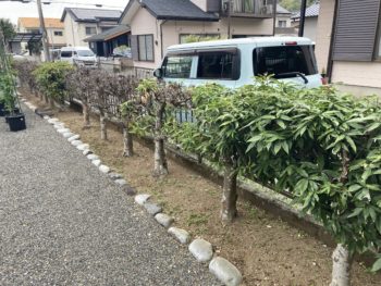 静岡県伊豆の国市韮山山木／抜根工事Ｋ様邸／外構リフォーム・根の撤去・盛り土