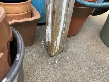 静岡県三島市若松町／テラス改修工事・束石設置工事・テラス塗装・雨樋設置工事／外構リフォーム・木製テラス劣化