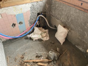 静岡県沼津市下香貫／浴室改修工事Ｓ様邸／お風呂リフォーム・TOTO サザナ　Sタイプ・こどもみらい住宅支援事業