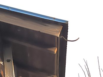 強風で外れてしまった雨樋修理|静岡県伊豆市K様邸