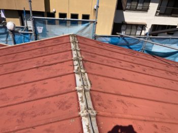 屋根カバー、塗装工事｜静岡県函南町大竹