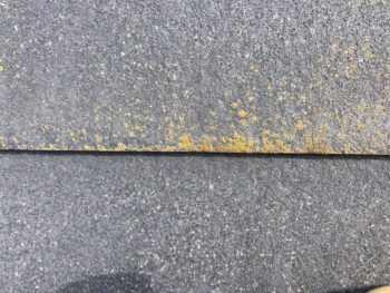 屋根、外壁、付帯部塗装工事｜静岡県沼津市大塚