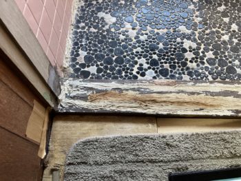 浴室ドア交換工事｜静岡県三島市富士ビレッジ