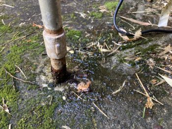 外の配管から水が噴き出てきた｜函南町平井
