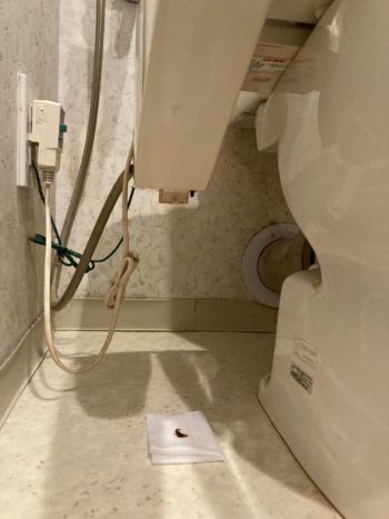 ウォシュレットから茶色い液体が垂れてくる