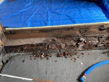 徹底解説！タイルのお風呂と脱衣室リフォーム┃解体・造作・設置まで┃函南町