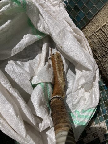 キッチン排水のお手入れ｜伊豆の国市