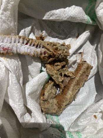 キッチン排水のお手入れ｜伊豆の国市