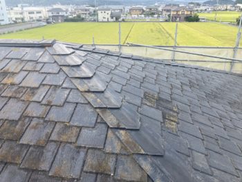 函南町の屋根外壁塗装ならニラスイホームへ┃屋根外壁塗装で180万円