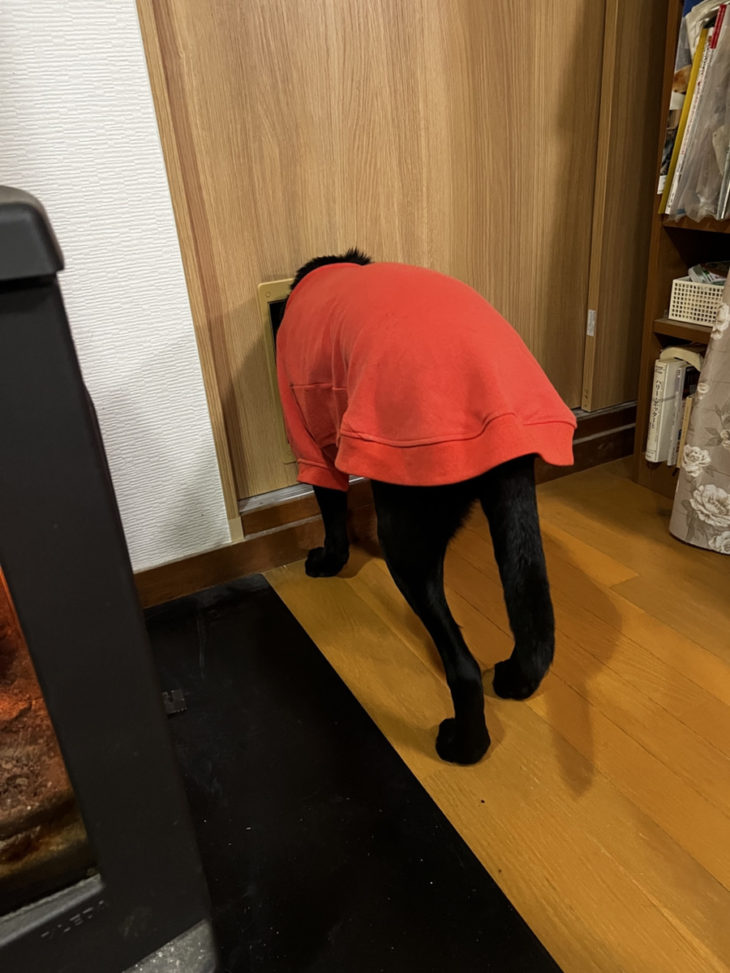 飼っている犬猫のために…引き戸交換とペットドア取り付け｜伊豆市