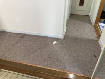 30年以上も手を付けていない1階廊下から2階廊下を内装貼り替え