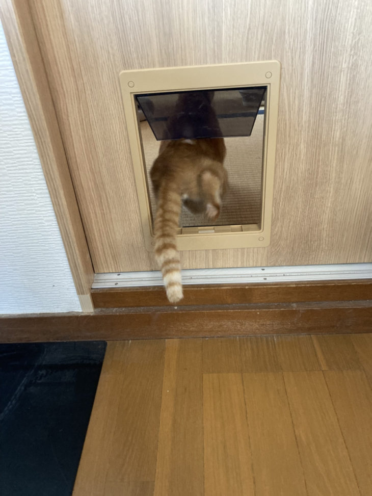 飼っている犬猫のために…引き戸交換とペットドア取り付け｜伊豆市