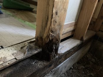 水回り（浴室、洗面台、トイレ、キッチン）LDK・廊下床張り替え｜伊豆の国市