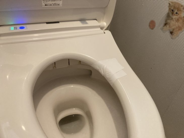 便座の蓋が割れてしまいトイレのウォシュレットのみ交換