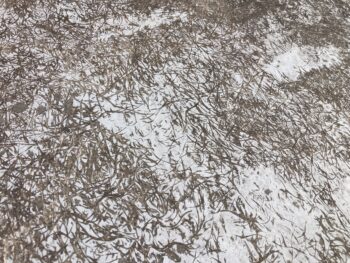 ベランダ防水で雨漏りを防止