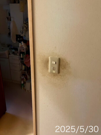 廊下、トイレ、トイレ前の壁に手すり設置