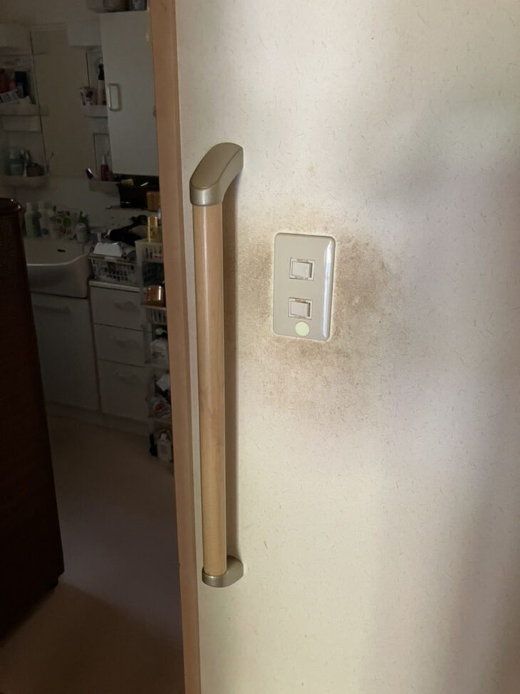 廊下、トイレ、トイレ前の壁に手すり設置