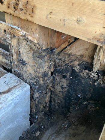 水回り３点（脱衣場、浴室、トイレ）改修工事