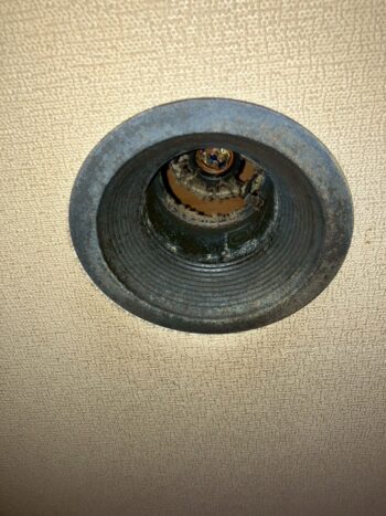 ダウンライト交換前