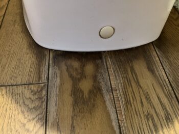 トイレの足元ズーム