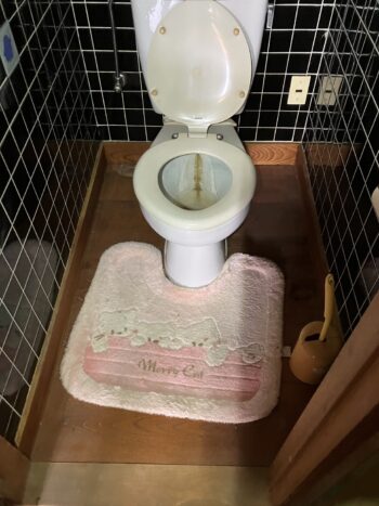 トイレ 便器