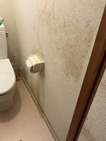 トイレ交換前 壁の汚れ くすみ