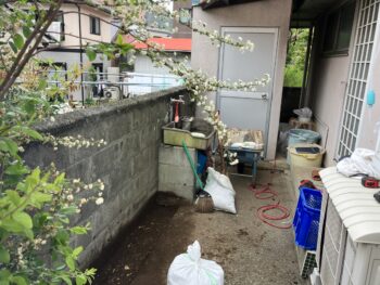 庭