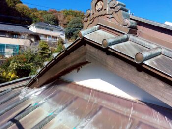 養生